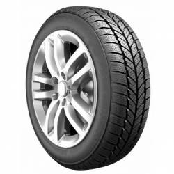 205/50R16 87H FROST WH01 RoadX